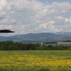 2012 Svojek mirek sobota